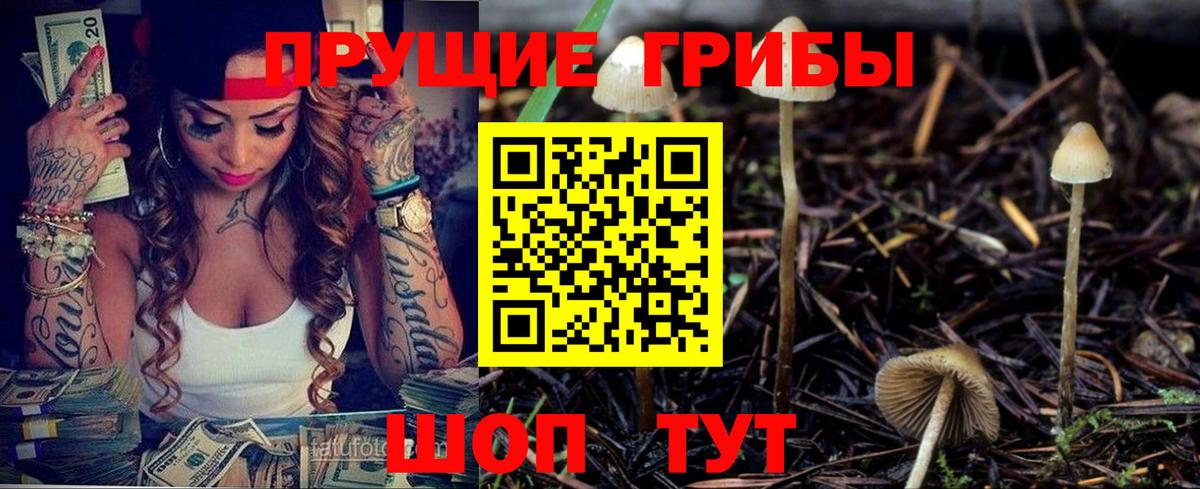 Псилоцибиновые грибы Magic Shrooms Искитим
